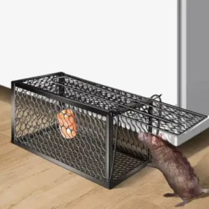 Foldable Mouse Trap Squirrel Trap Small Live Animal Trap Mouse Voles Hamsters Live Cage Rat Mouse Cage Trap for Mice Easy to Catch and Release ( default, SMALL ).