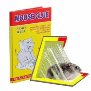 Sticky Insect Trap (Yellow, 6.5 x 8 Inch, Large Size) ( default, Standard )