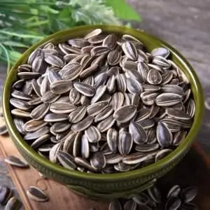 FV1EHG3xP11TOuXx8JfJ1W25mIvOiiFwoC5bomLc.webp Mix Sunflower Seeds, 50 Seeds, Multiple Vibrant Colours, Garden Flowers ( default, OS )