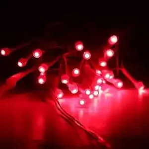 Real Essentials 13 Meter 40 LED Decorative Pixel LED String Light (RED) ( red, OS )