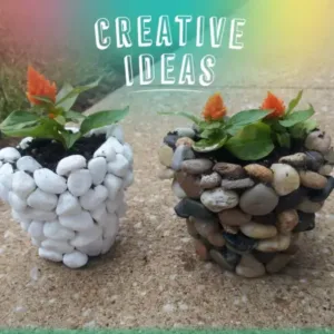 Decorative River Rock Stones – Natural Pebble Set for Planters, Vases & Garden Landscaping ( default, Standard )