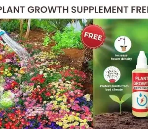Mix Premium Flower Seed's + Plant Growth Supplement Free ( default, OS )