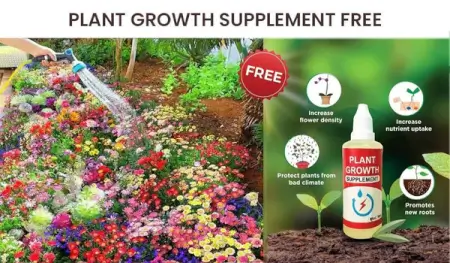 Lfsk18c0horsw1arh2wqlMqL03eQzHE1G0zHHSL3.webp Mix Premium Flower Seed's + Plant Growth Supplement Free ( default, OS )