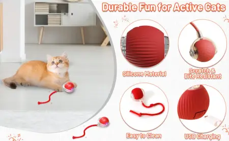 OaekSvn3hET4IbcklyAXuaoWI1bKWKUBPHcX7zCY.webp Smart Automatic Self Moving Cat Toy Ball Electric Interactive Rolling Pet Toy with USB Charging for Cats and Small Dogs ( default, OS )