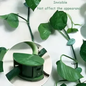 Plant Climbing Wall Fixture Clip Self-Adhesive Hook Vines Traction Invisible Stand Green Plant Clip Garden Wall Clip Plant Support Binding Clip Plants for Indoor Outdoor Decoration (10 Pcs Se