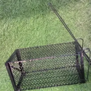 Foldable Mouse Trap Squirrel Trap Small Live Animal Trap Mouse Voles Hamsters Live Cage Rat Mouse Cage Trap for Mice Easy to Catch and Release ( default, SMALL ).