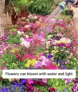 Mix Premium Flower Seed's + Plant Growth Supplement Free ( default, OS )
