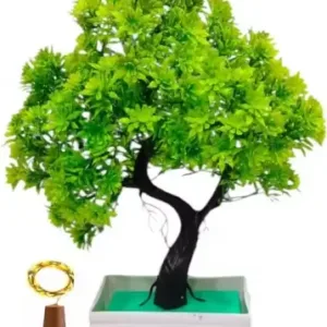 Artificial Bonsai Plant with Cork Light – Home & Office Decorative Plastic Plant. ( default, Free Size )