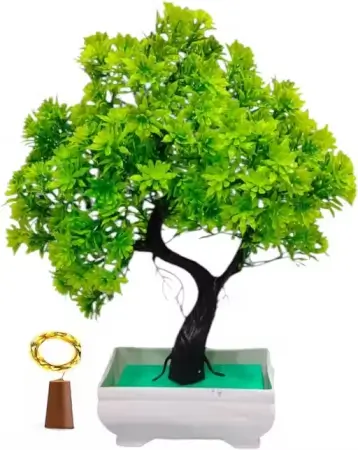 j7WimQpuaGdCWcxfSf4fIv1z6XomXiteRB31ZKUv.webp Artificial Bonsai Plant with Cork Light – Home & Office Decorative Plastic Plant. ( default, Free Size )