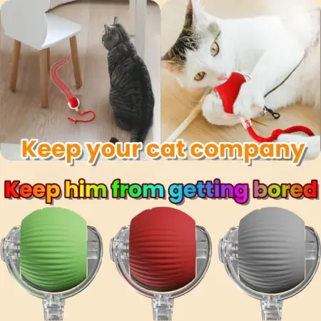 rzSDtgYcKDKR7iKEfQVBb0n05KSdswNsrslSwC4z.webp Smart Automatic Self Moving Cat Toy Ball Electric Interactive Rolling Pet Toy with USB Charging for Cats and Small Dogs ( default, OS )