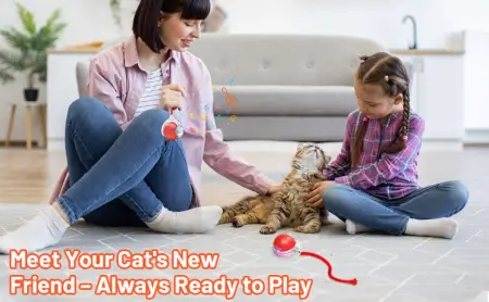 tLWFgfe9MHR4Crj88oiqE1Wmkd8unjbxPAPwEMmH.webp Smart Automatic Self Moving Cat Toy Ball Electric Interactive Rolling Pet Toy with USB Charging for Cats and Small Dogs ( default, OS )
